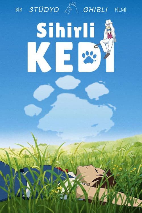 Sihirli Kedi posteri