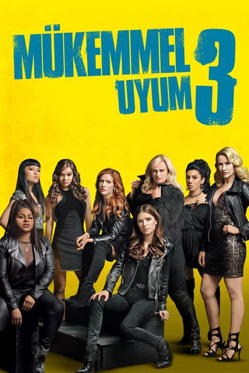 Mükemmel Uyum 3 posteri