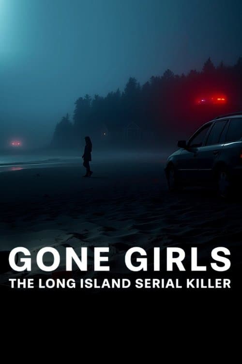 Kayıp Kızlar: Long Island Seri Katili posteri