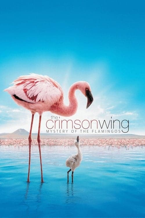 The Crimson Wing: Mystery of the Flamingos posteri