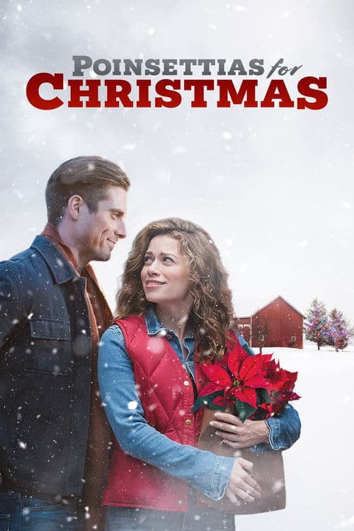 Poinsettias for Christmas posteri