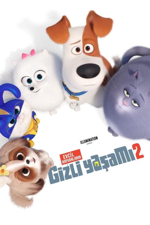 Evcil Hayvanların Gizli Yaşamı 2 posteri