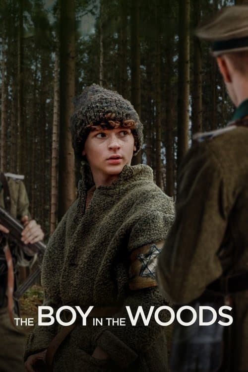The Boy in the Woods posteri