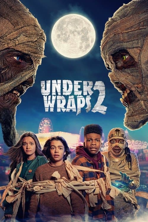 Gizli Saklı 2 posteri